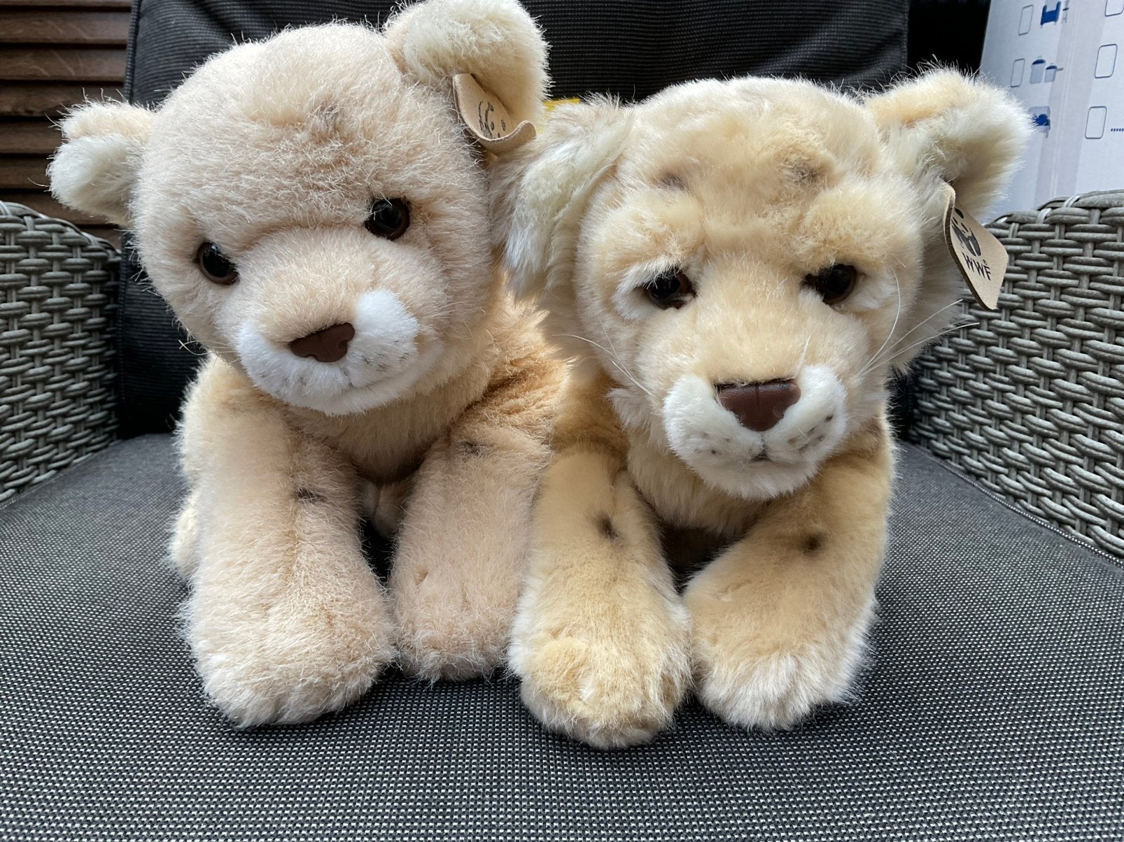 2 nieuwe zgan WWF of WNF Anna Club Plush welpjes 40cm, Ophalen, Overige karakters, Nieuw, Middelgroot (20 tot 80 cm)