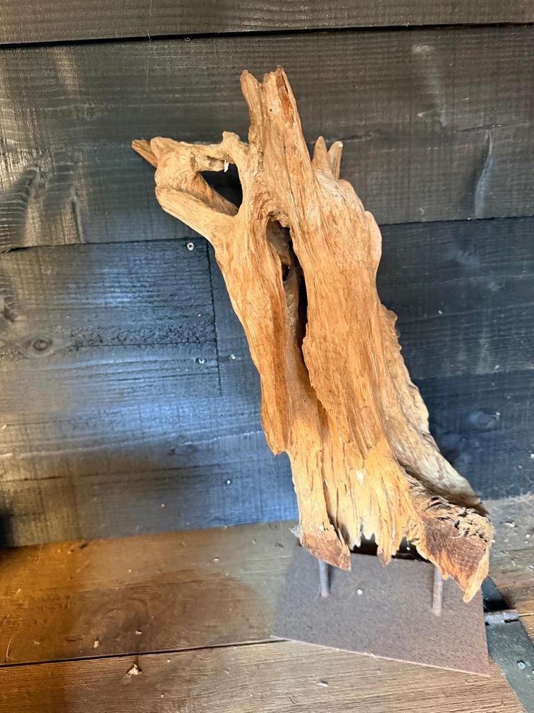 Uniek stuk drijfhout decoratie, Hout, Gebruikt, Ophalen of Verzenden, Landelijk