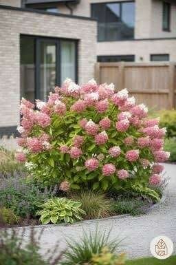Mooie soorten Hortensia (Hydrangea) in pot!, Ophalen, Hortensia, Minder dan 100 cm