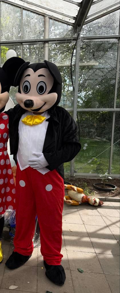 Mickey Mouse Kostuum te huur in Gorinchem, Ophalen of Verzenden, Gebruikt, Kostuum, Verjaardag