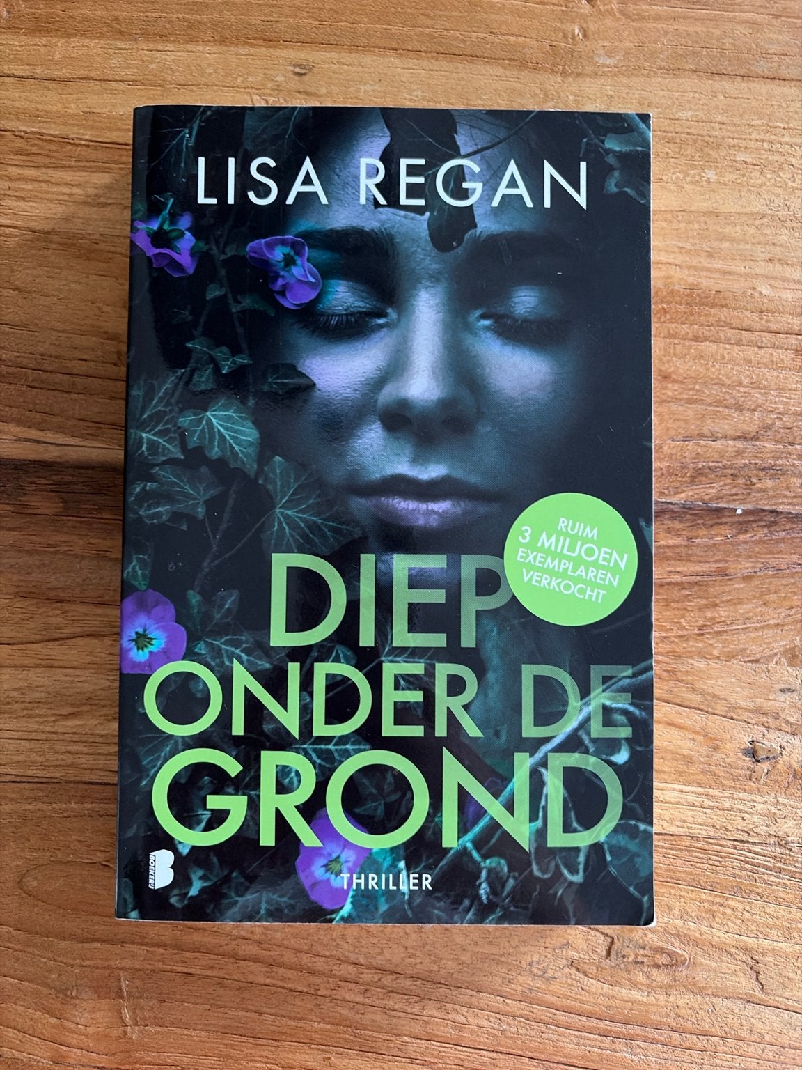 Diep onder de grond - Lisa Regan (Thriller), Ophalen of Verzenden, Zo goed als nieuw, Amerika