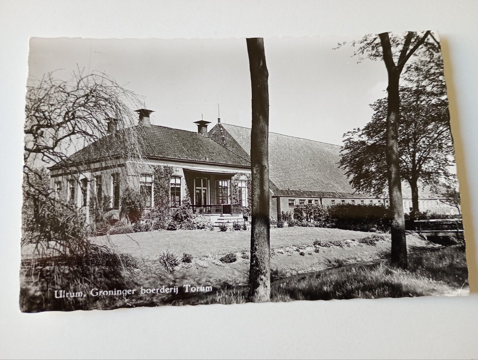 Ulrum Boerderij Torum 1964, Ophalen of Verzenden, 1960 tot 1980, Ongelopen, Groningen