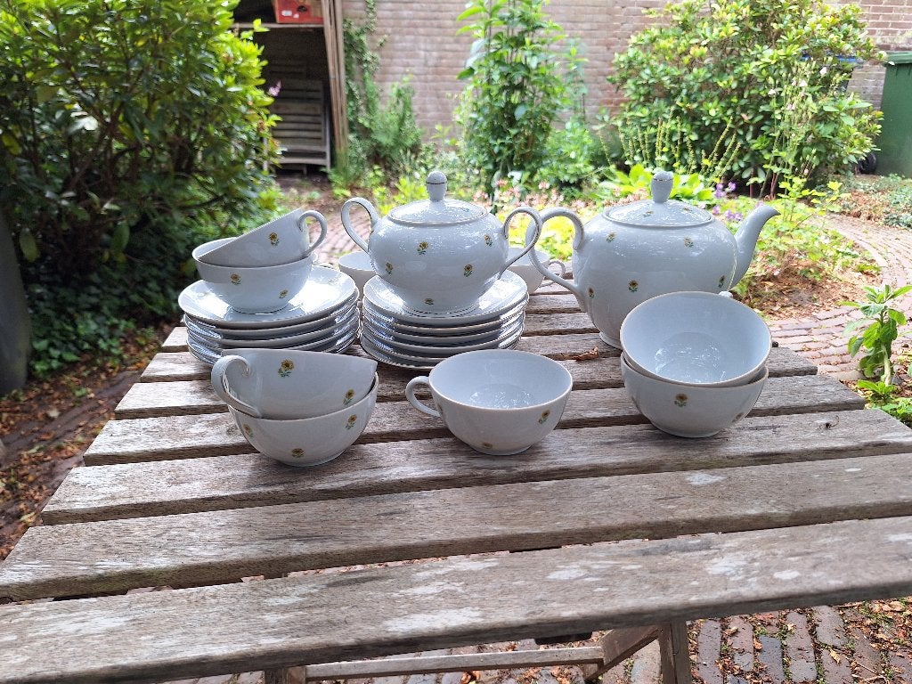 Schattig theeservies, Huis en Inrichting, Keuken | Servies, Ophalen, Gebruikt, Overige stijlen, Kop(pen) en/of Schotel(s)