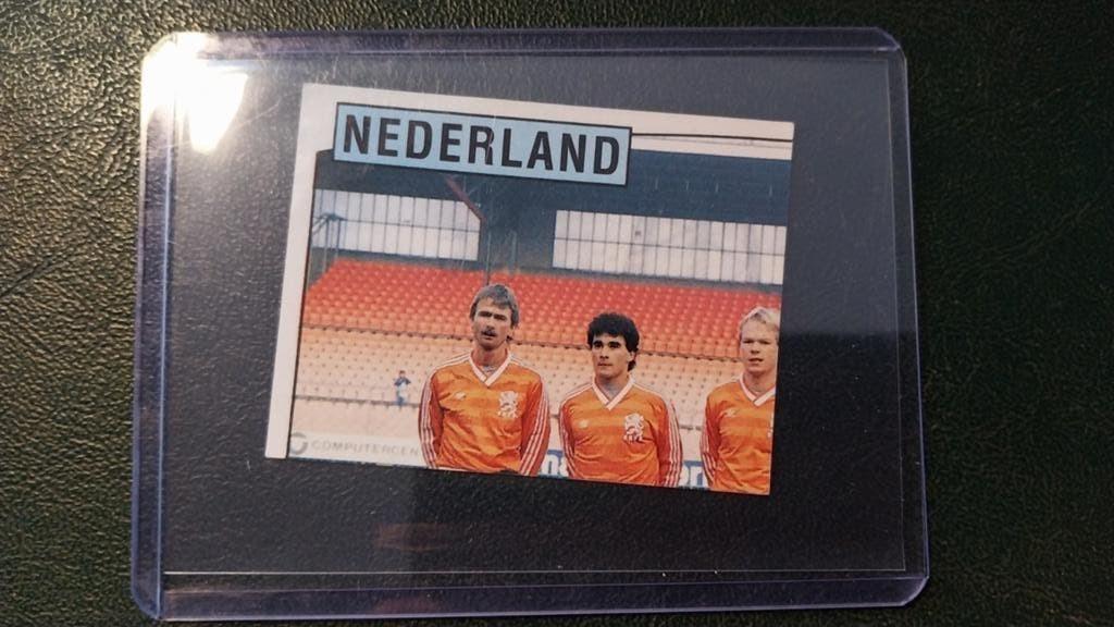 Panini EURO 88 Sticker Nederland #207, Ophalen of Verzenden, Zo goed als nieuw, Sticker