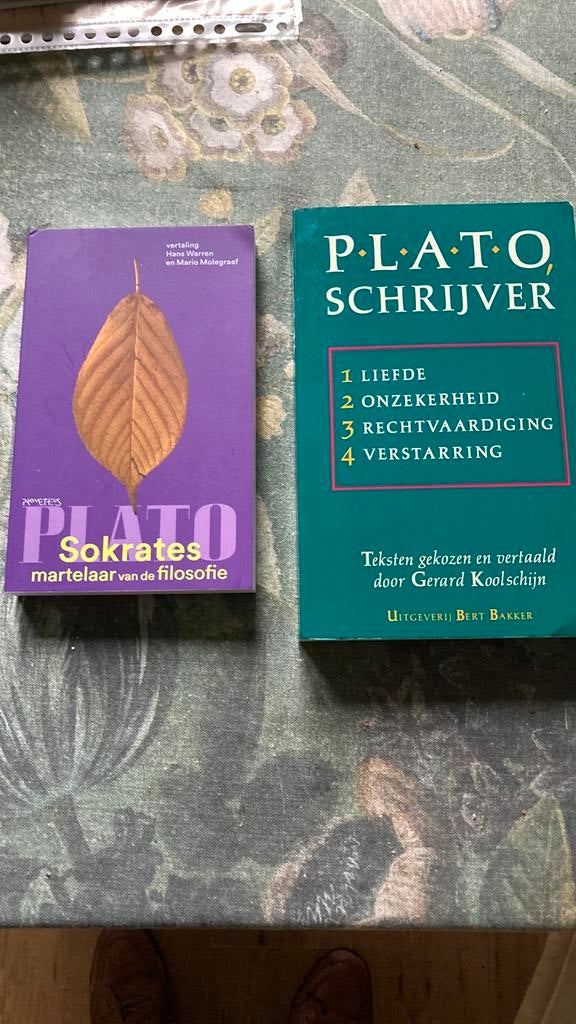 Plato, schrijver. // Plato: Sokrates martelaar v.d.filosofie, Ophalen of Verzenden, Gelezen, Cultuurfilosofie