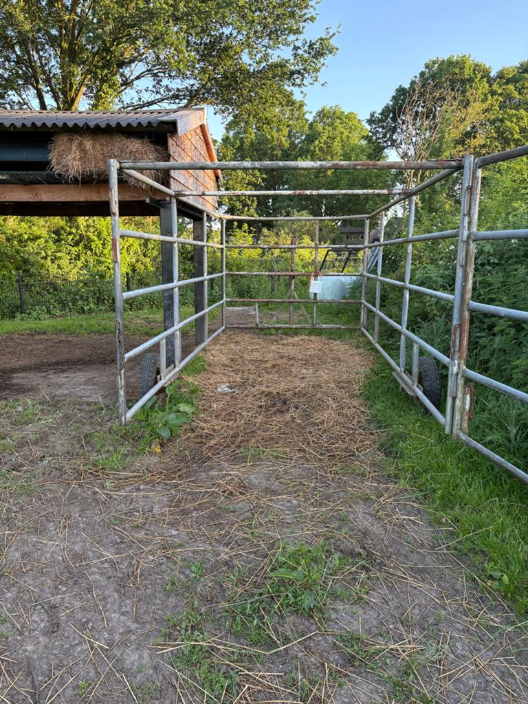 Mobiele vangkooi voor runderen, Dieren en Toebehoren, Runderen, Meerdere dieren