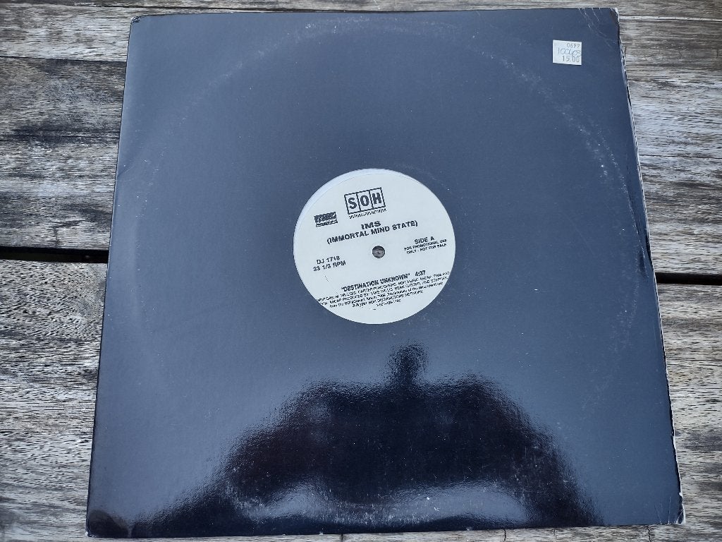 Maxi single - Immortal Mind State - Destination unknown, Cd's en Dvd's, Vinyl Singles, Ophalen of Verzenden, Zo goed als nieuw