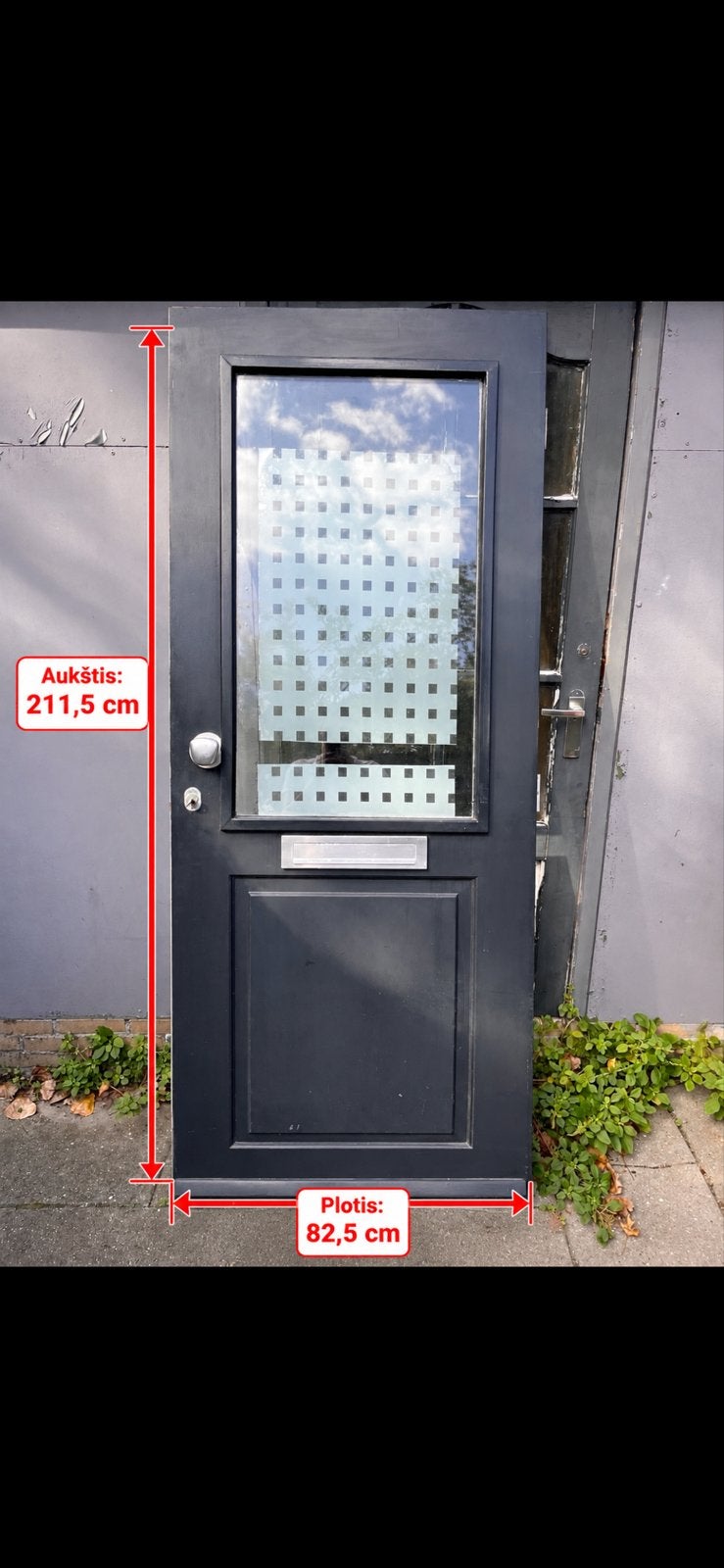 Gebruikte Buitendeur met Glas - 211,5 x 82,5 cm, Ophalen, Gebruikt, 80 tot 100 cm, 215 cm of meer