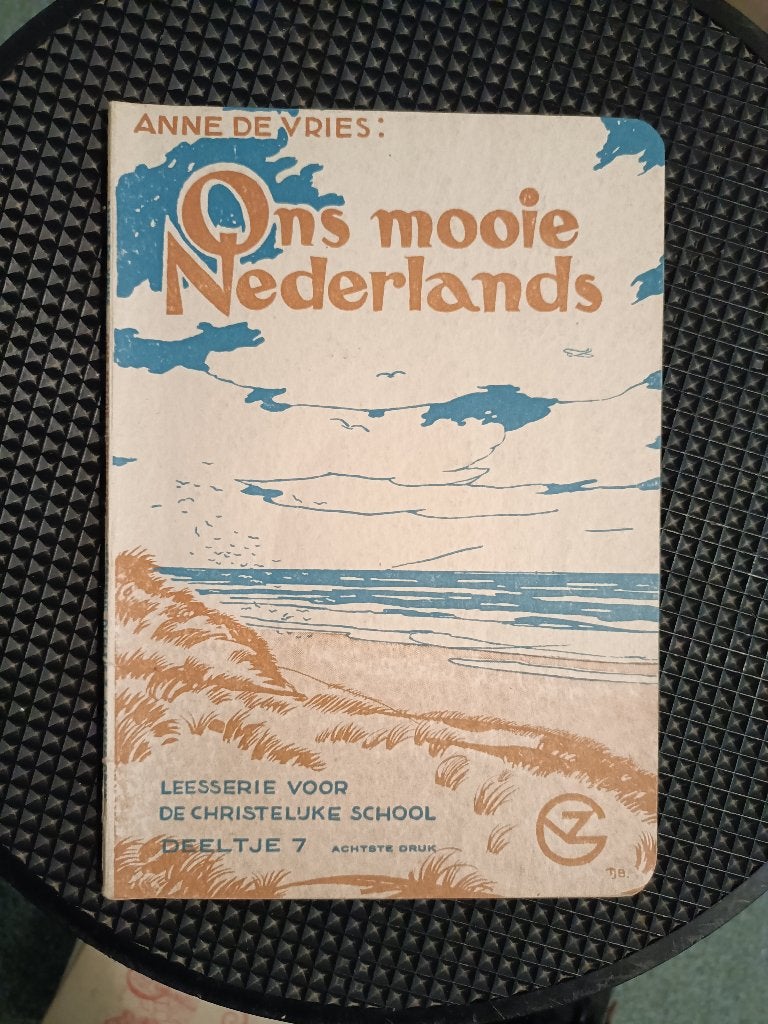 Anne de Vries – Ons mooie Nederlands, Ophalen of Verzenden, Anne de Vries