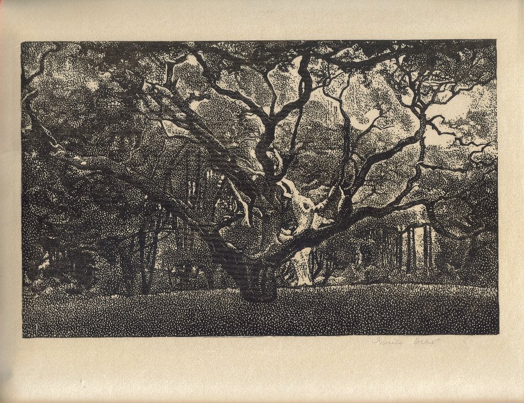 Emile Dehé houtsnede "Oude Boom", gesigneerd, Ophalen, Houtsnede, Landschap, Origineel