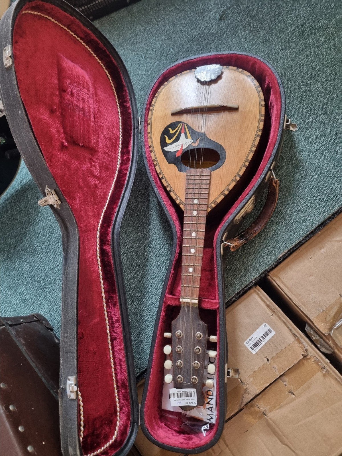 Cavelli Mandoline met koffer - Vintage Italiaans instrument, Ophalen of Verzenden, Nvt, Nvt, Nvt