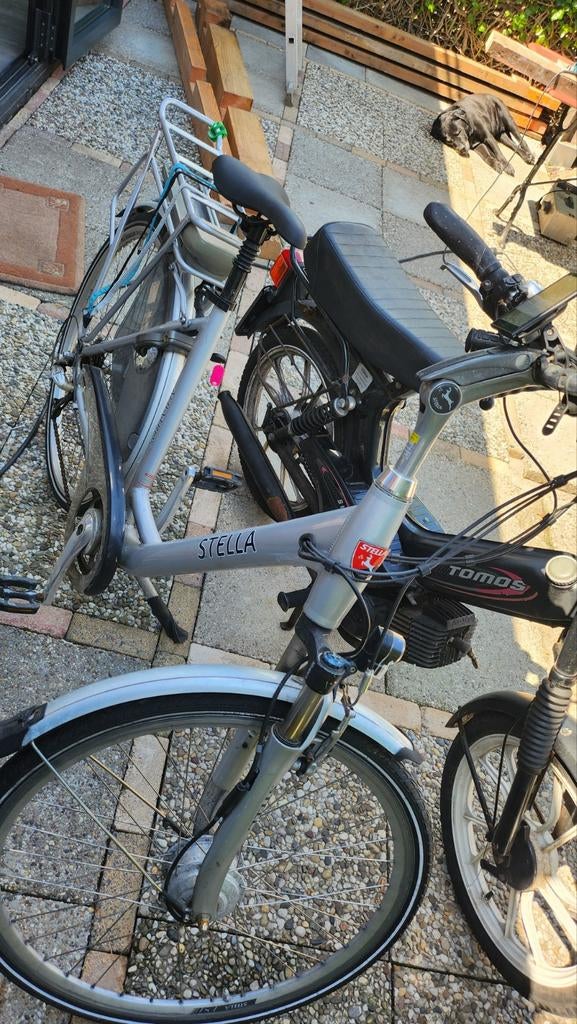 Stella Albatros E-bike - Opknapper met nieuwe accu, Ophalen, Gebruikt, Overige merken
