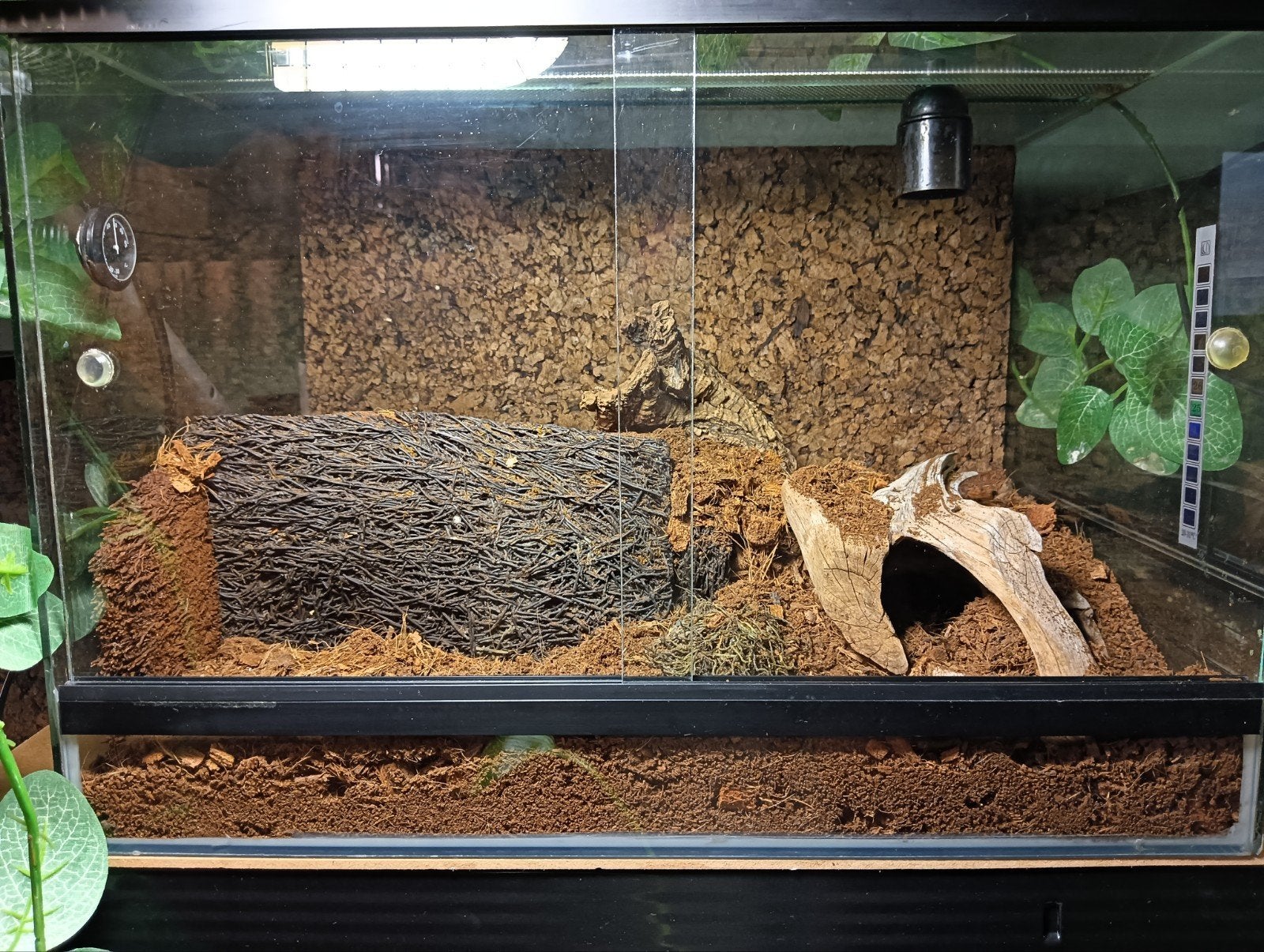 Terrarium 50x34x35, Ophalen, Gebruikt, Terrarium of Paludarium