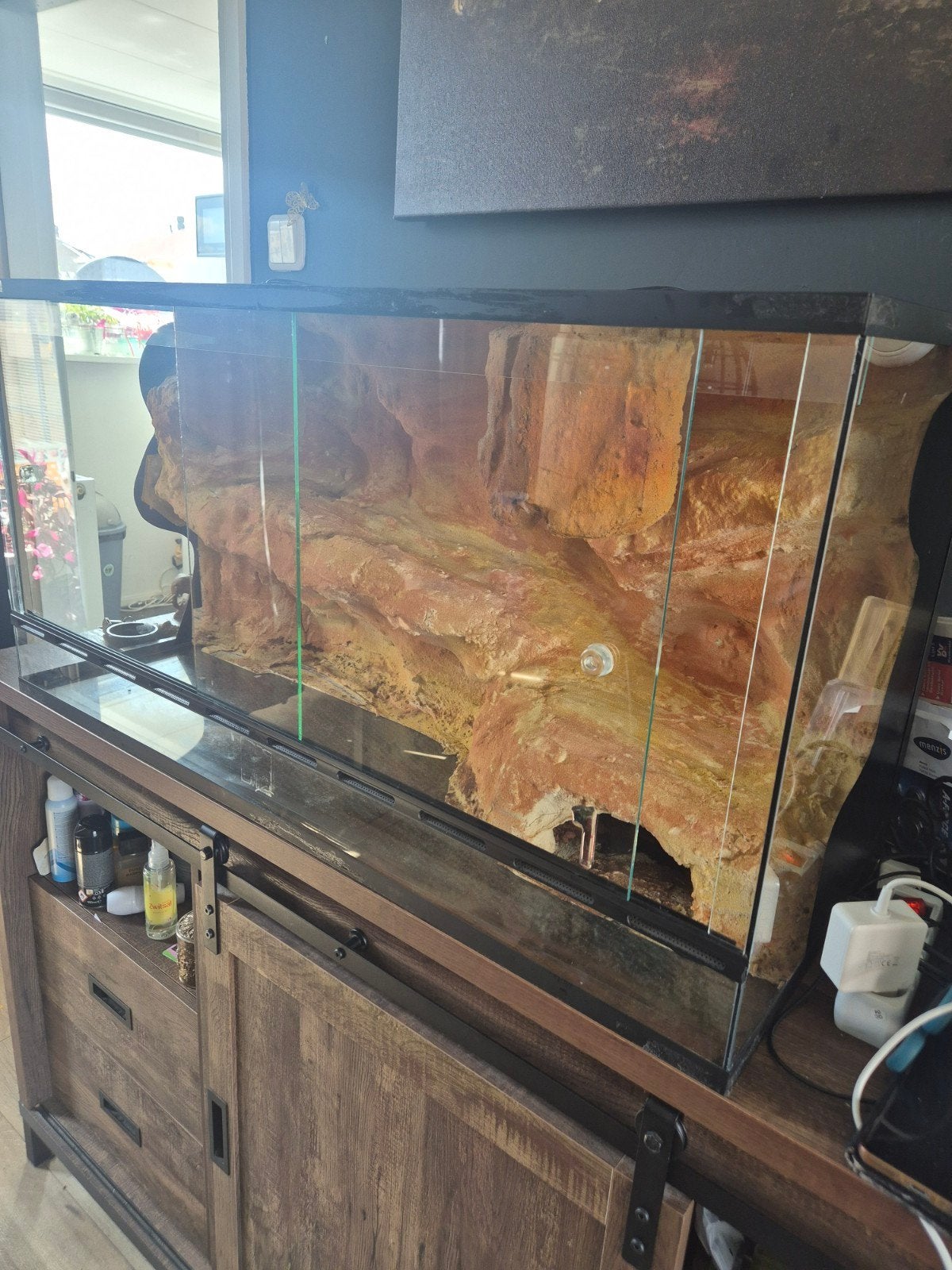 Zeer mooi terrarium met 3d achterwand, Dieren en Toebehoren, Ophalen, Zo goed als nieuw