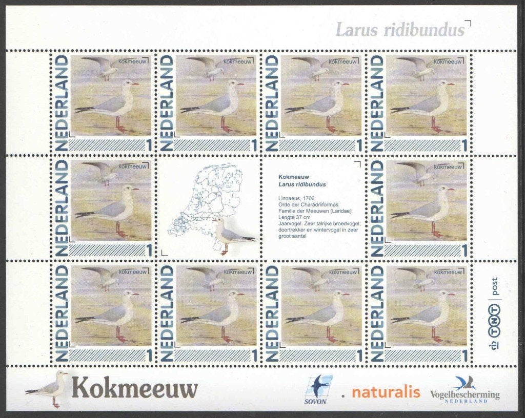Postzegels Vogels in Nederland: Kokmeeuw, Ophalen of Verzenden, Na 1940, Postfris