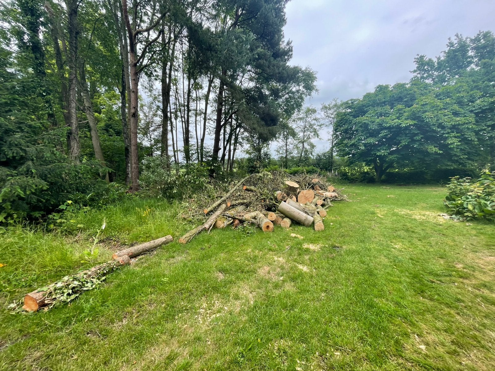 Haardhout, 3 tot 6 m³, Ophalen