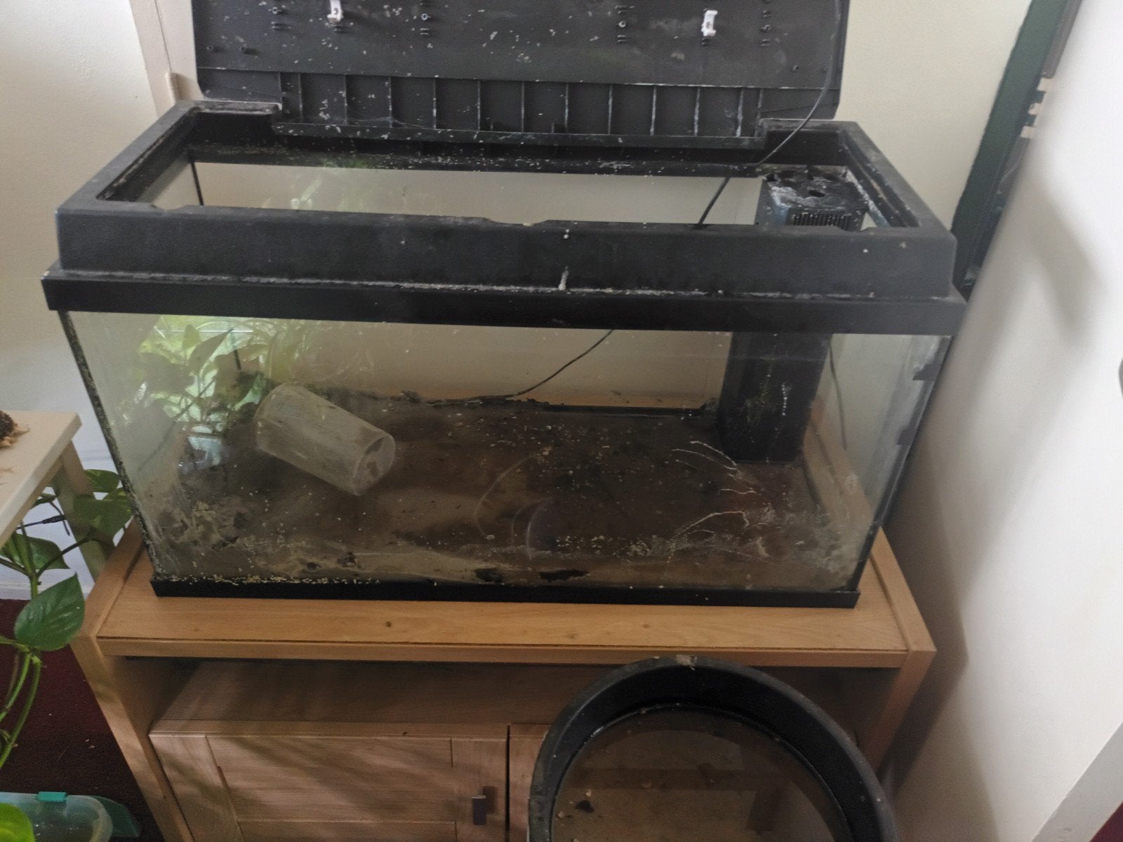 gratis lek aquarium zonder deksel, Dieren en Toebehoren, Ophalen, Leeg aquarium
