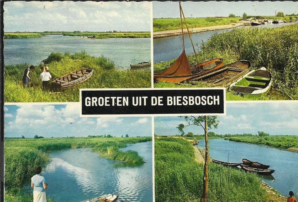 Biesbosch         7a, Ophalen of Verzenden, Voor 1920