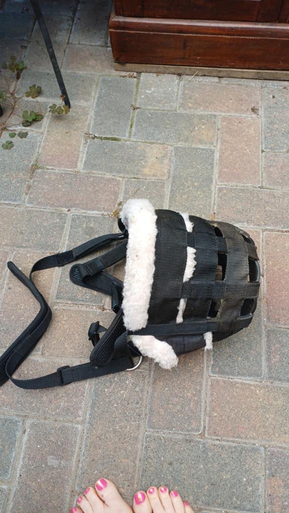 Graasmasker graaskorf, Ophalen of Verzenden, Zo goed als nieuw, Overige soorten