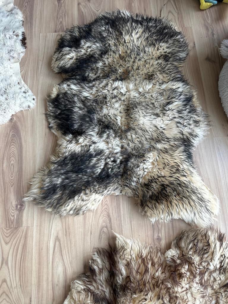 Nieuwe Luxe zwart-crème langharig schapenvacht, Ophalen, 100 tot 150 cm, Zwart, 50 tot 100 cm