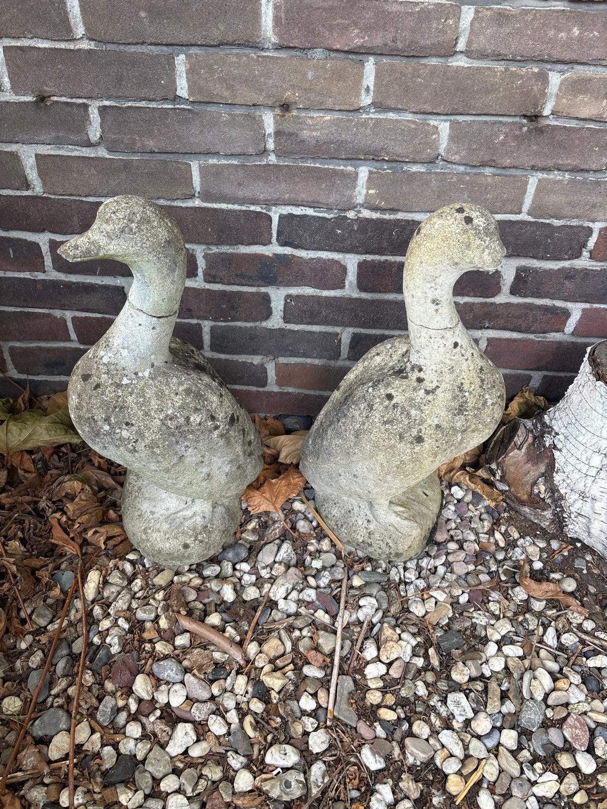 Twee stenen ganzen beelden voor in de tuin, 50 cm, Tuin en Terras, Ophalen, Gebruikt, Beton, Dierenbeeld