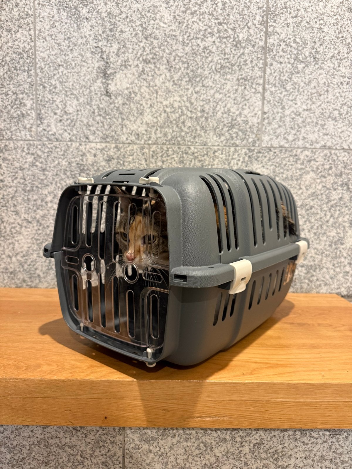 Cat carrier, Ophalen, Gebruikt