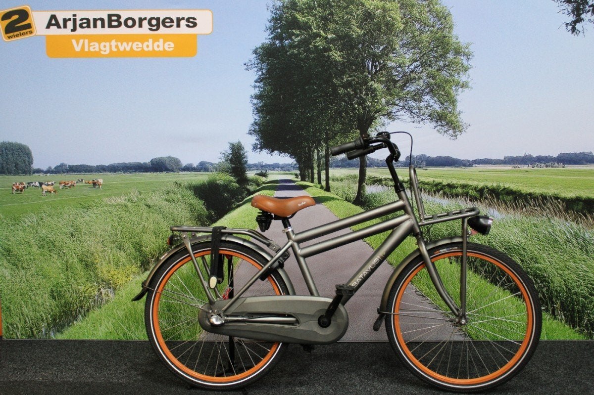 Batavus Amigo HR3 GRIJS-MAT 24inch, Ophalen, -, -, Versnellingen
