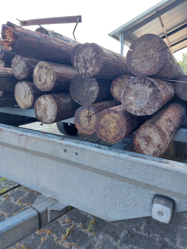 Houten palen / weide palen, Ophalen, Gebruikt, Palen, Hardhout
