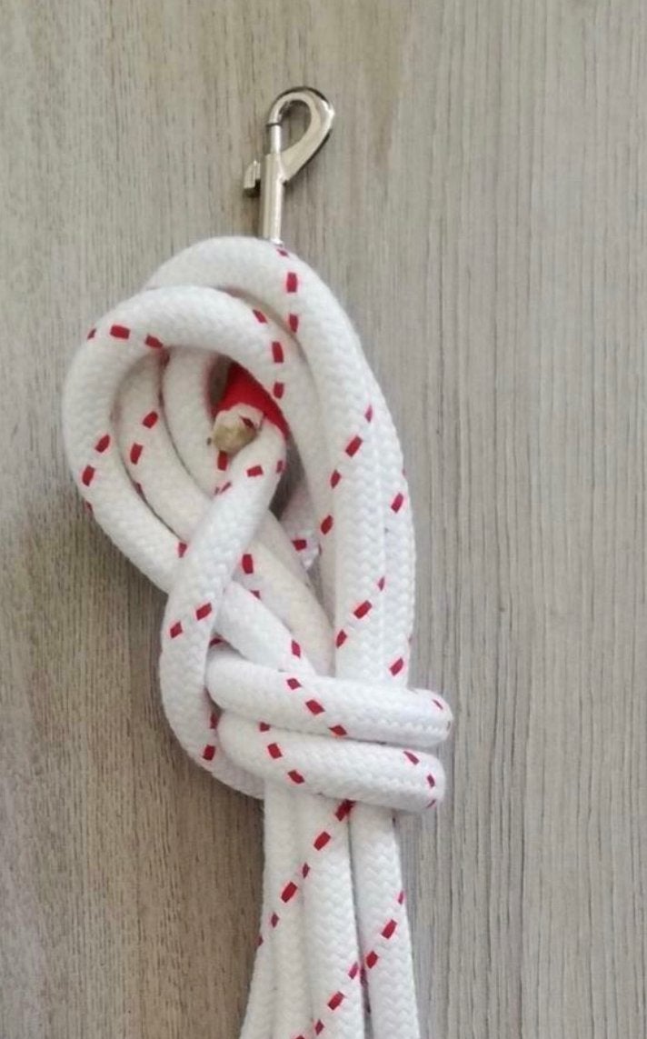 Nieuwe leadrope 4,5 m wit/rood, Dieren en Toebehoren, Equi-Perfect, Nieuw, Equi-Perfect, Equi-Perfect