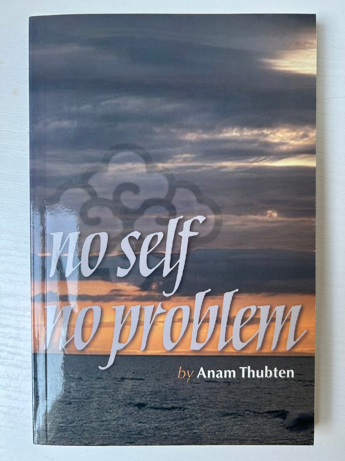 No self no problem Anam Thubten, Ophalen of Verzenden, Zo goed als nieuw
