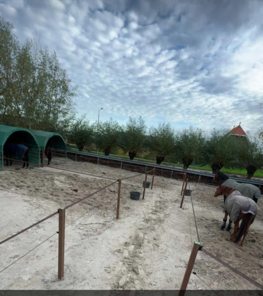 AANGEBODEN training/ zadelmak maken/ doorrijden Pijnacker, Dieren en Toebehoren, Stalling en Weidegang