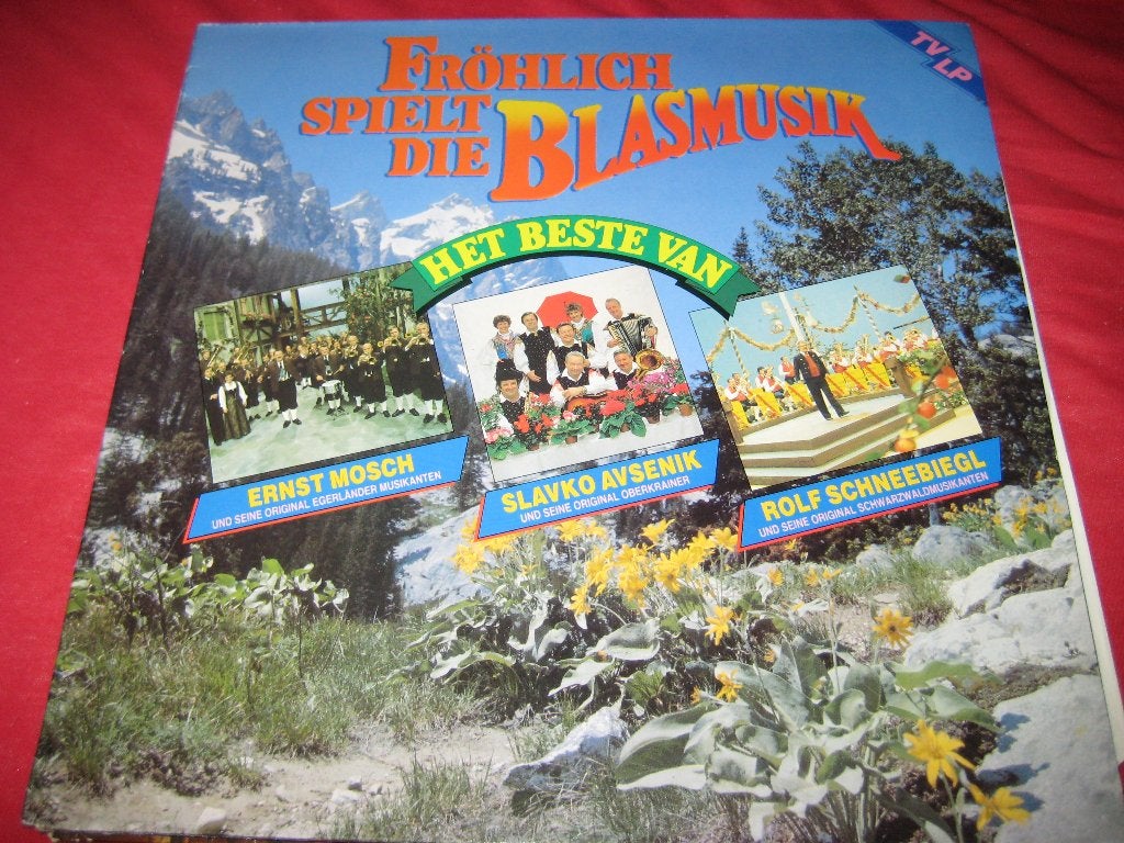 LP, Fröhlich spielt die Blasmusik, Ophalen of Verzenden, Zo goed als nieuw, LP