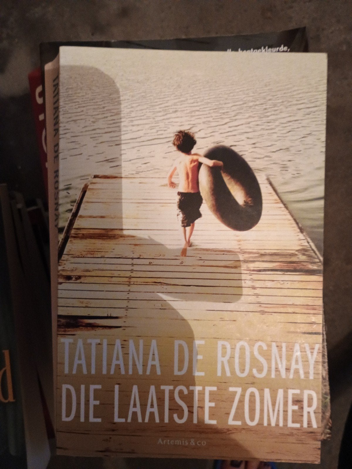 Tatiana de Rosnay - Die laatste zomer, Ophalen of Verzenden, Zo goed als nieuw, Tatiana de Rosnay