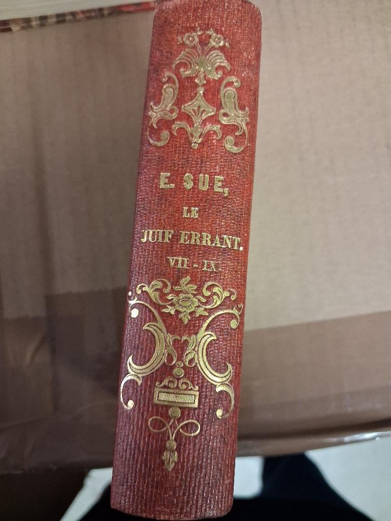 Le Juif Errant, Franstalig boek, Ophalen of Verzenden