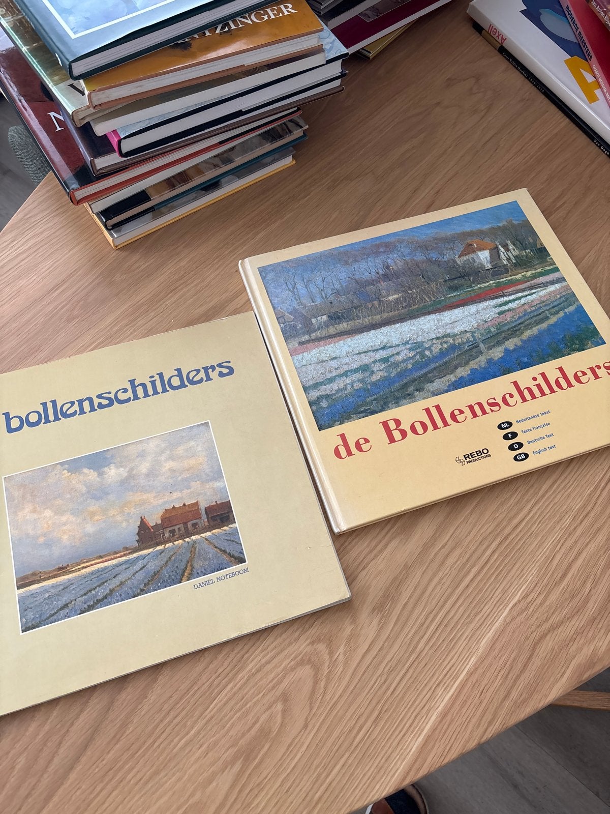 De Bollenschilders - Kunstboek over bloembollenvelden, Verzenden, Gelezen, Schilder- en Tekenkunst