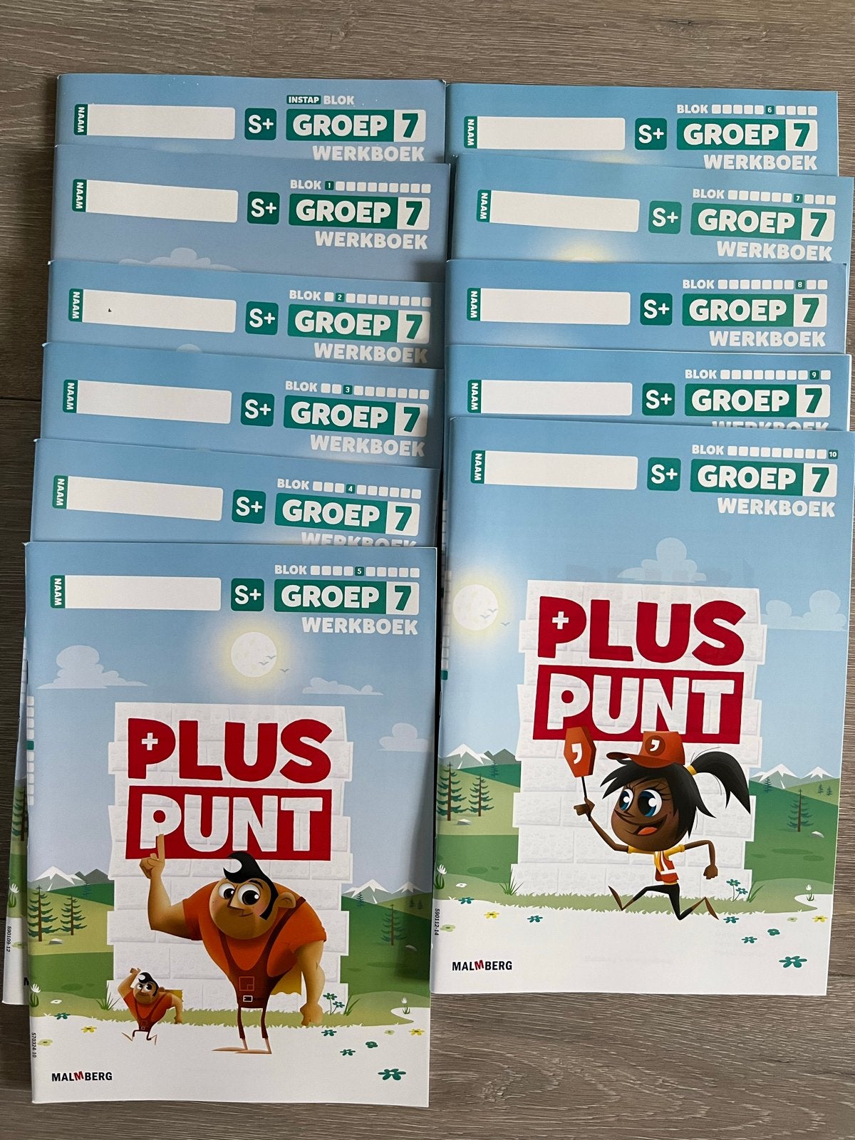 Pluspunt groep 7 S+ werkboeken nieuw, Boeken, Ophalen of Verzenden, Nieuw, Overige niveaus, Overige vakken