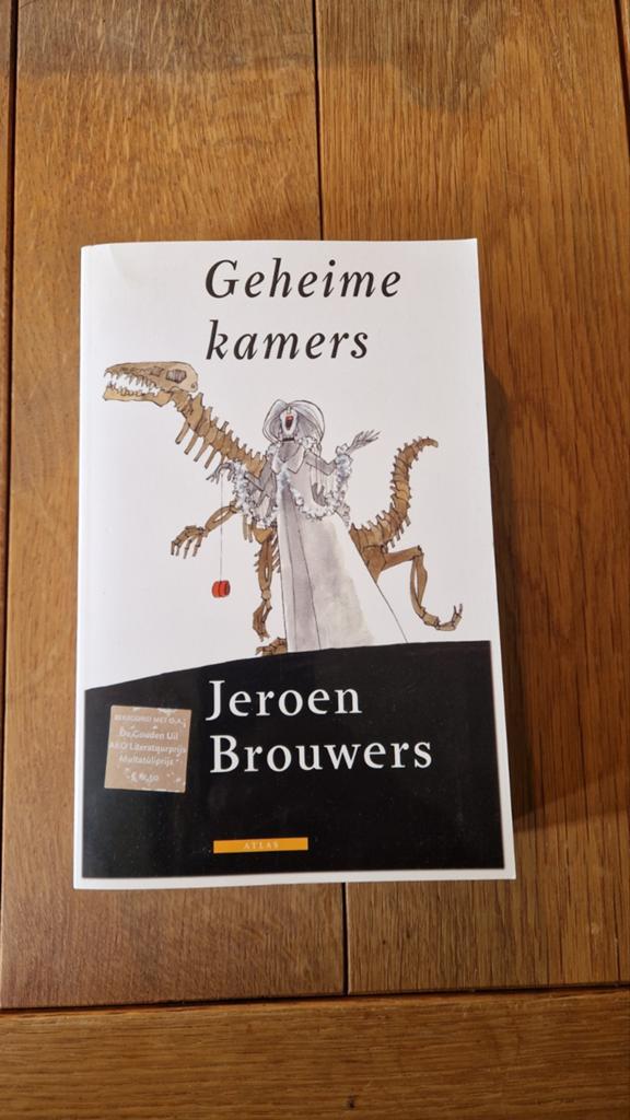 Geheime kamers - Jeroen Brouwers (Boek), Ophalen, Gelezen, Jeroen Brouwers, Nederland