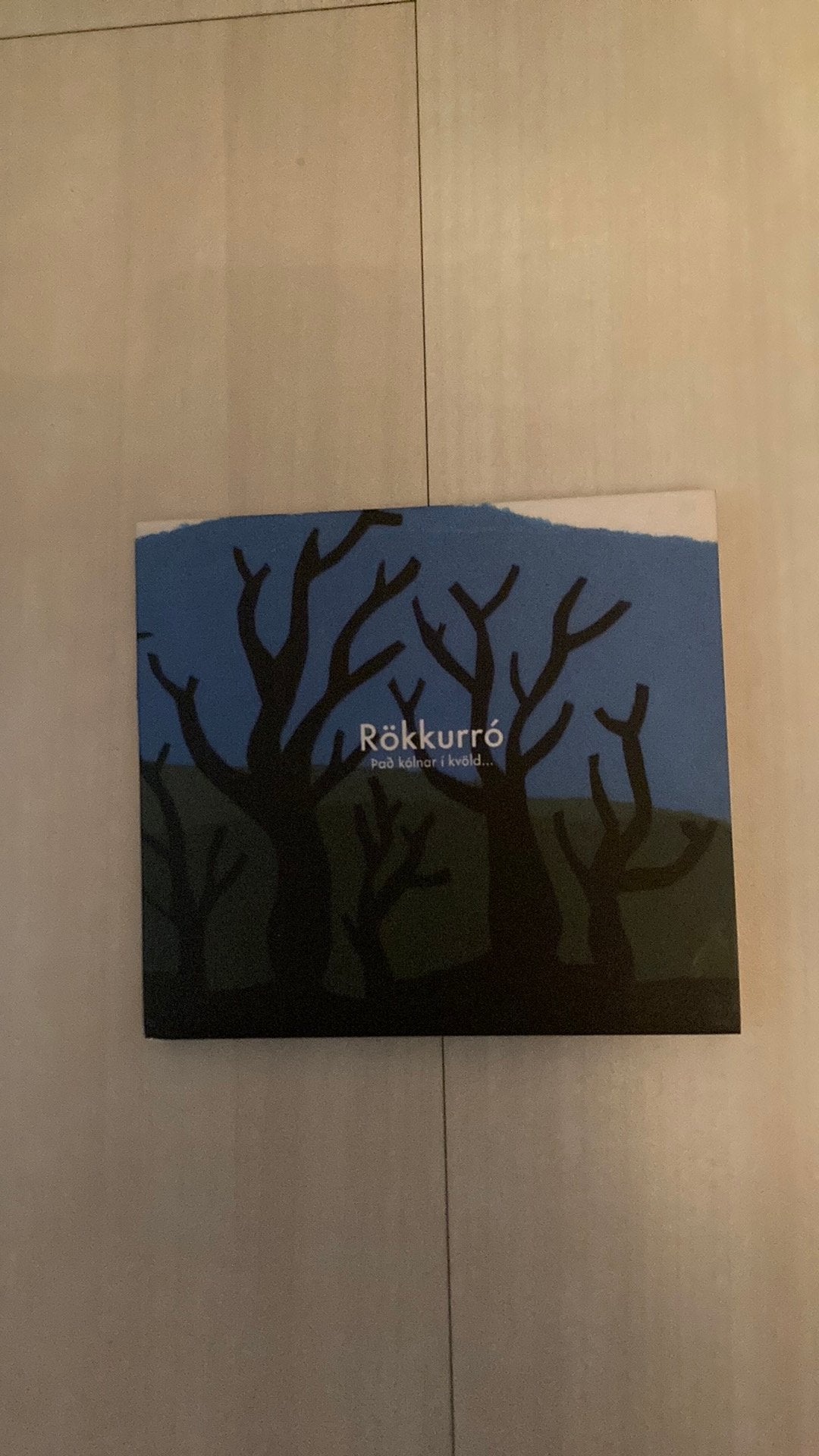 Rökkurró - pad kólnar í kvöld…alternatief/indie rock Iceland, Ophalen of Verzenden, Zo goed als nieuw, Alternative Rock