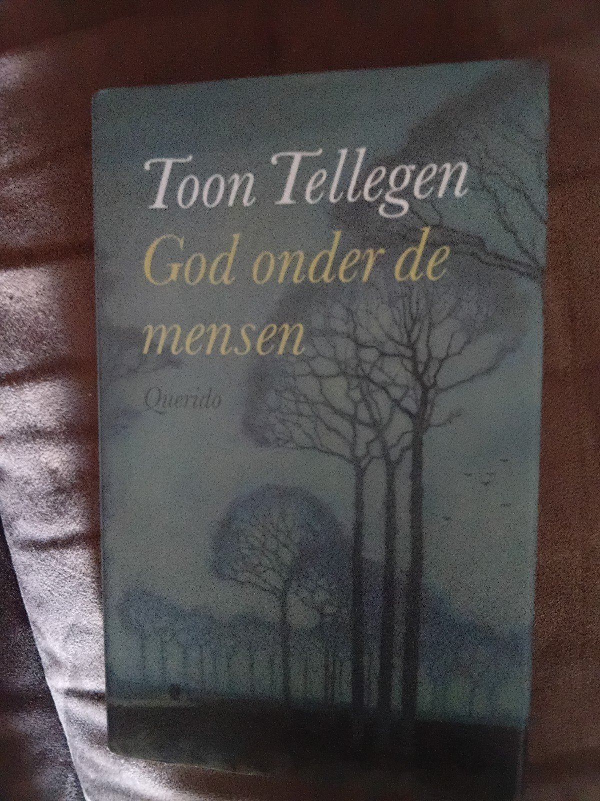 Toon Tellegen - God onder de mensen, Ophalen of Verzenden, Zo goed als nieuw, Toon Tellegen