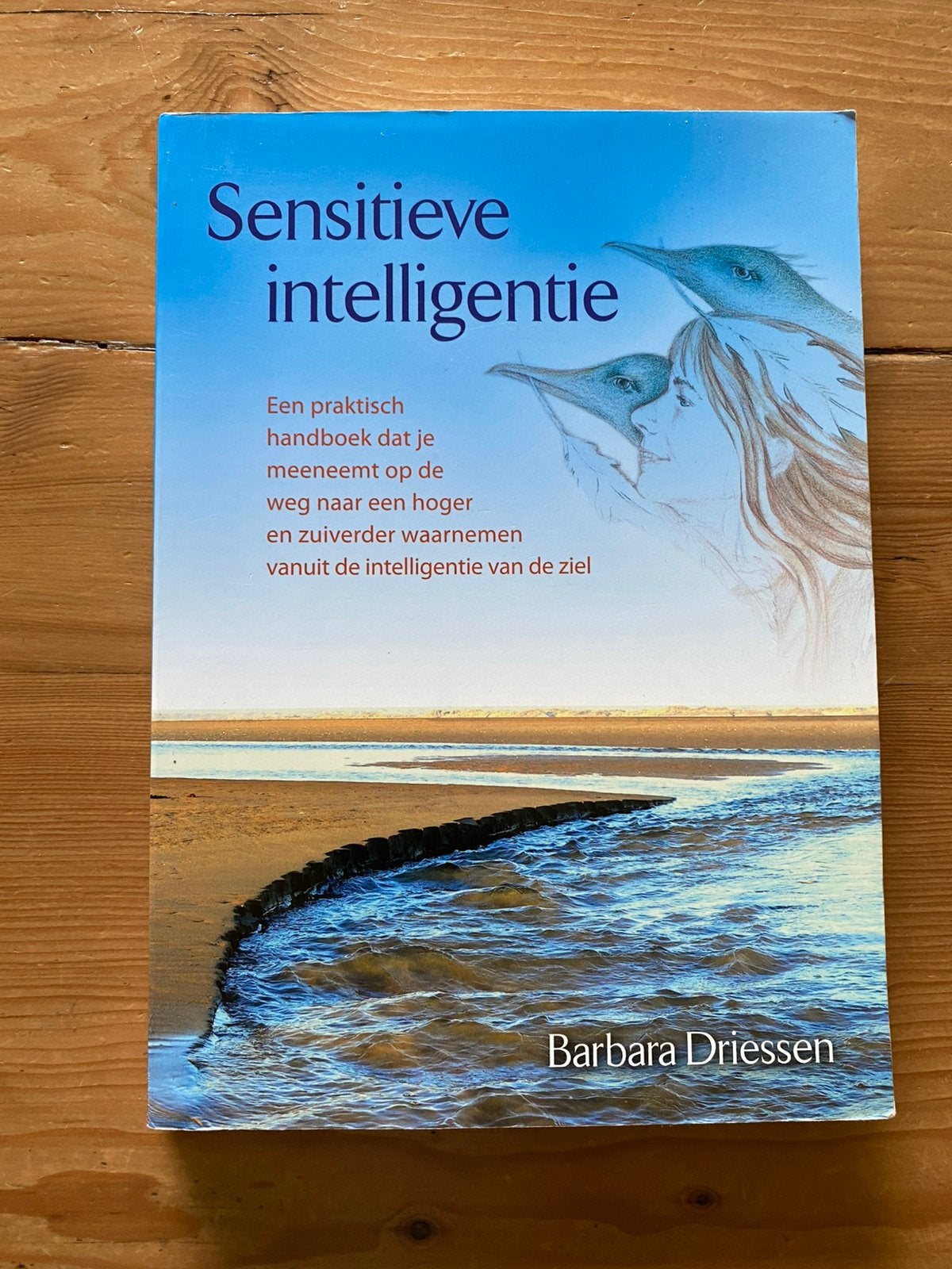 Sensitieve intelligentie - Barbara Driessen, Boeken, Ophalen of Verzenden, Gelezen