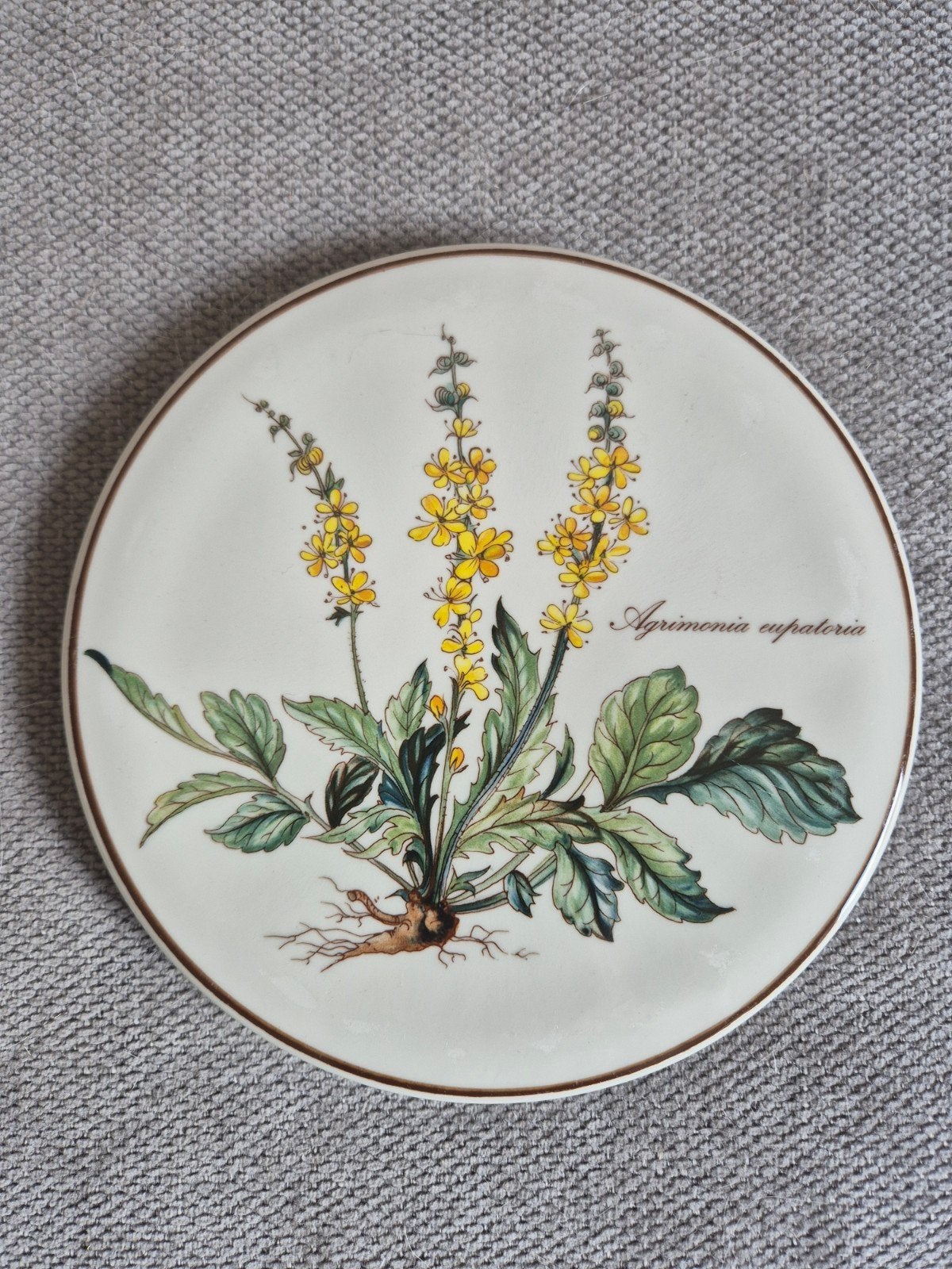 Villeroy en Boch – Botanica ronde onderzetter Ø 16,5, Ophalen of Verzenden