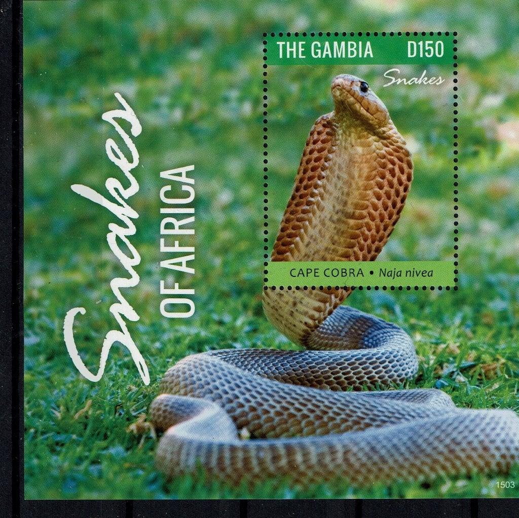 GAMBIA 2020 PF BLOK SLANGEN REPTIELEN COBRA SNAKES REPTILES, Postzegels en Munten, Ophalen of Verzenden, Postfris, Dier of Natuur
