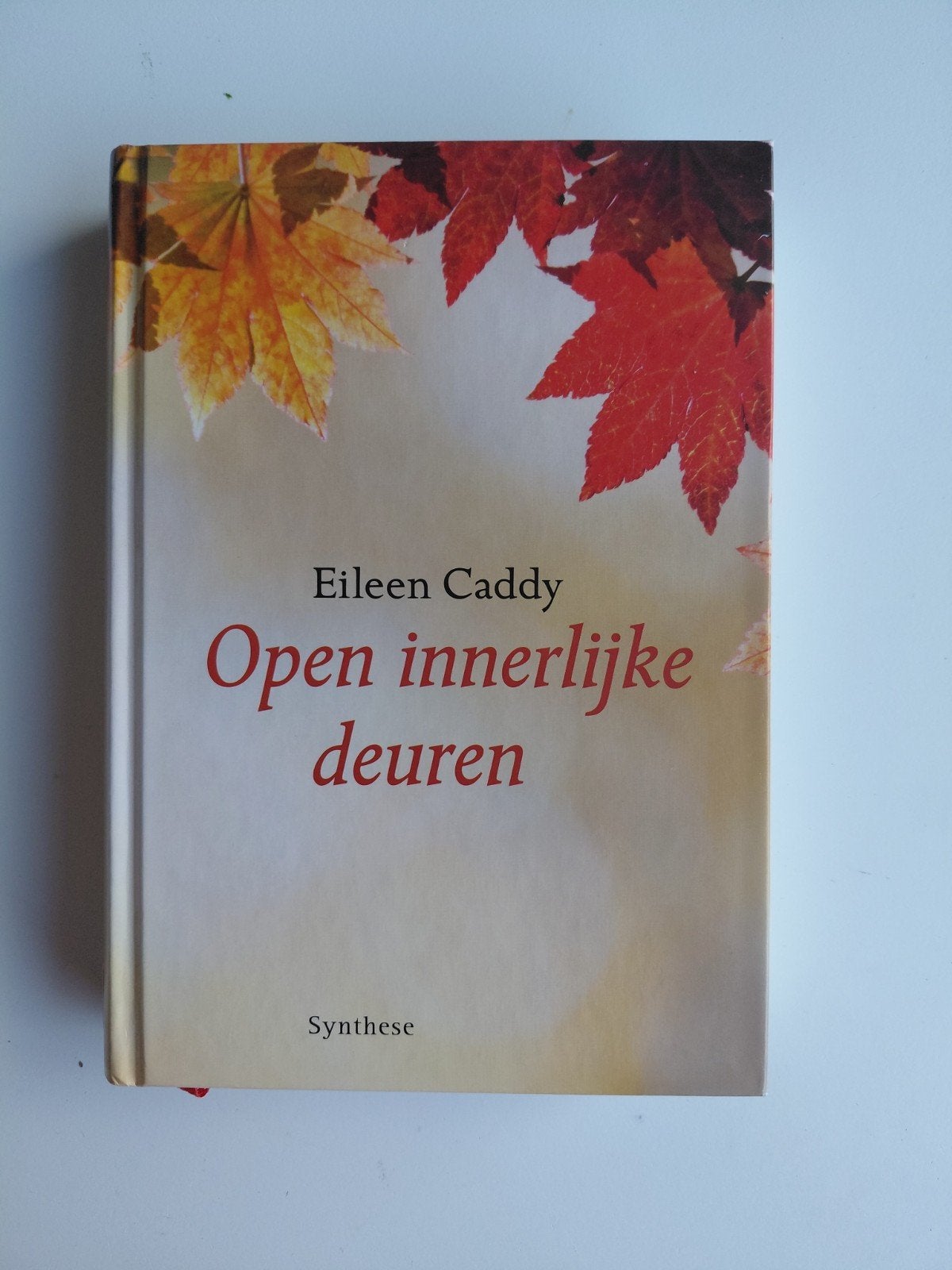 Eileen Caddy - Open innerlijke deuren, Spiritualiteit algemeen, Ophalen of Verzenden, Zo goed als nieuw, Eileen Caddy