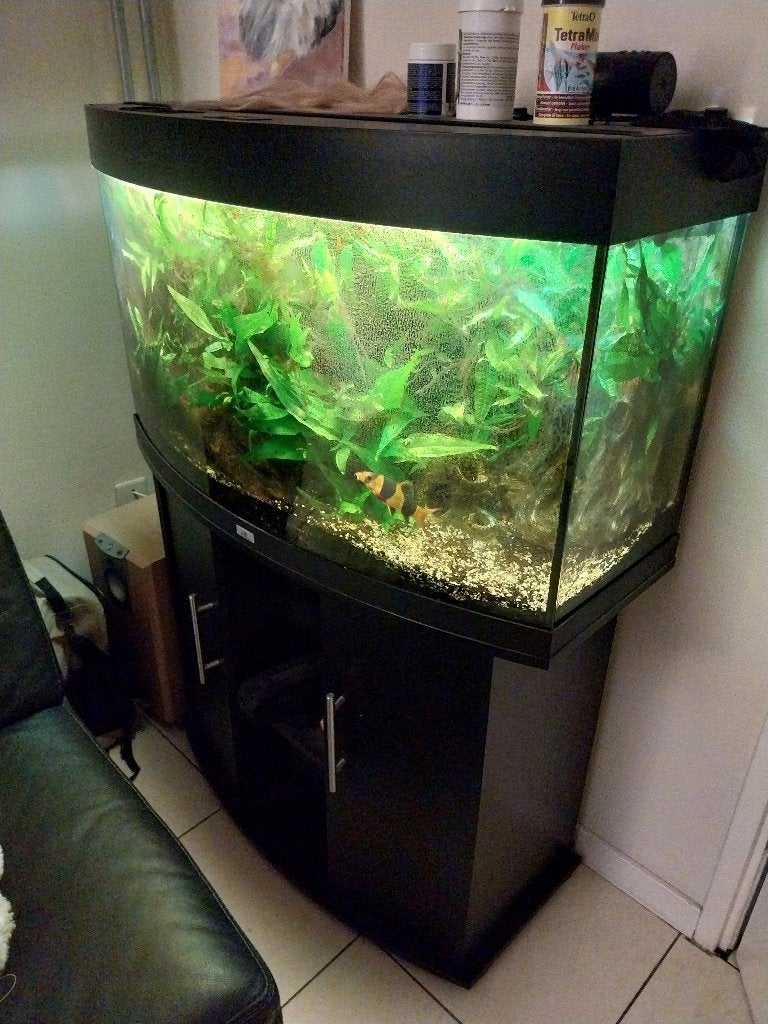 Aquarium juwel, Ophalen, Inclusief vissen, Eheim, Gevuld zoetwateraquarium