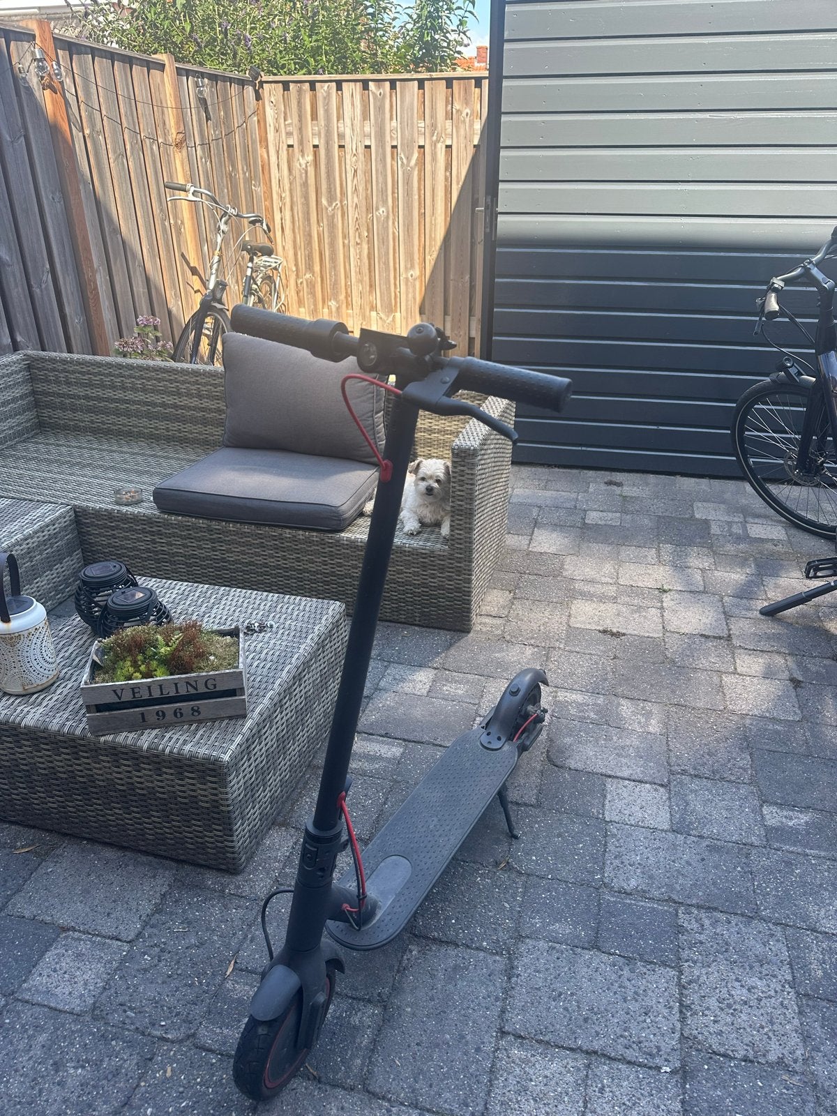 Elektrische step - Xiaomi M365, Ophalen, Gebruikt, Elektrische step (E-scooter)