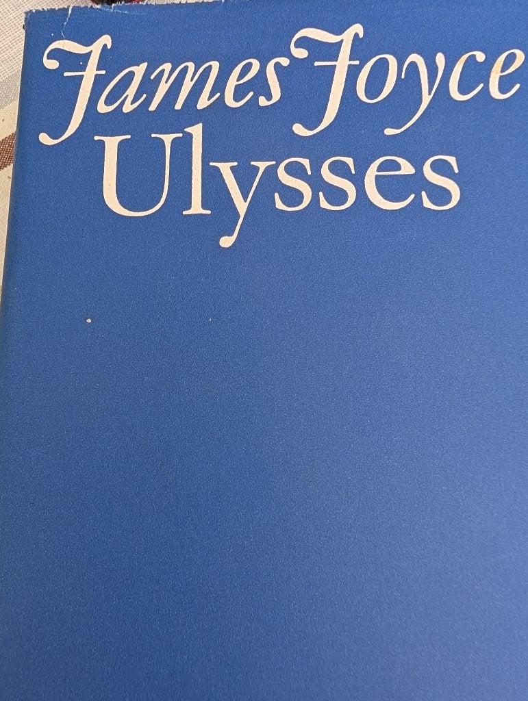 Ulysses James Joyce, Boeken, Gelezen, Europa overig, Ophalen of Verzenden, James Joyce
