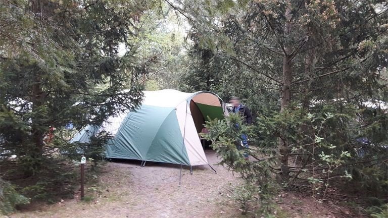 gezinstent falco sperwer 500, Caravans en Kamperen, Tenten, tot en met 4, Gebruikt, Ophalen