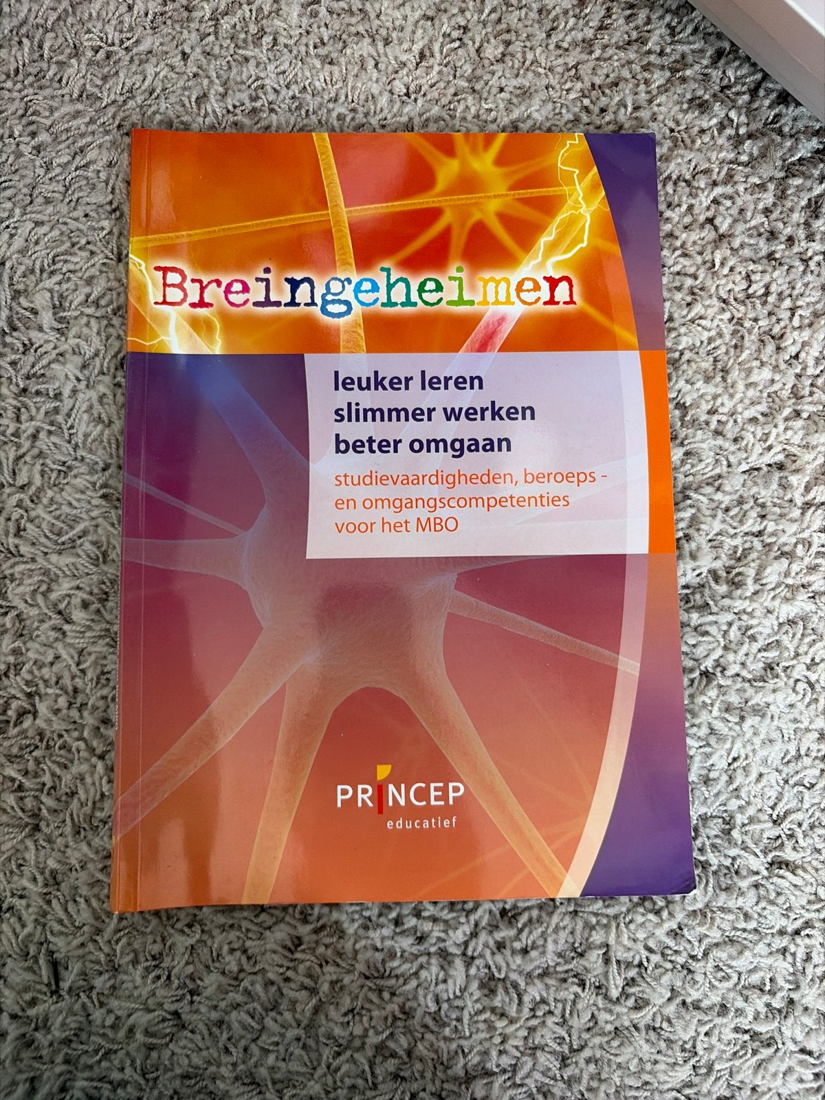 Breingeheimen: Leuker Leren, Slimmer Werken, Beter Omgaan, Boeken, Ophalen of Verzenden, Gamma, Zo goed als nieuw, MBO