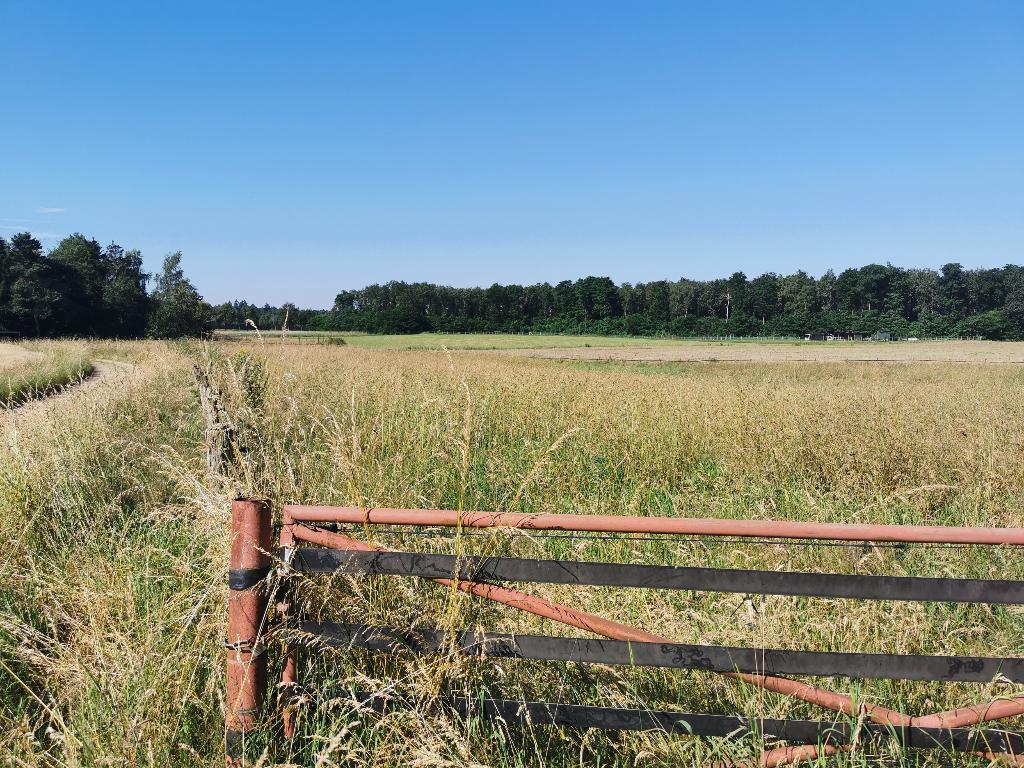 TE KOOP WEILAND MET WATERVOORZIENING EN LEGALE SCHUILSTAL, Dieren en Toebehoren, Stalling en Weidegang