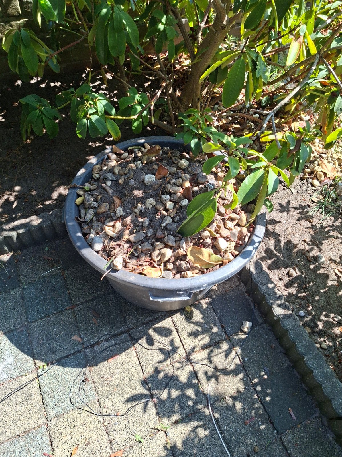 Gratis kiezelstenen voor tuin of decoratie, Ophalen, Gebruikt, Multi, Grind